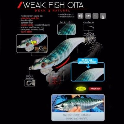 EGI DTD WEAK FISH OITA MISURA 3.0